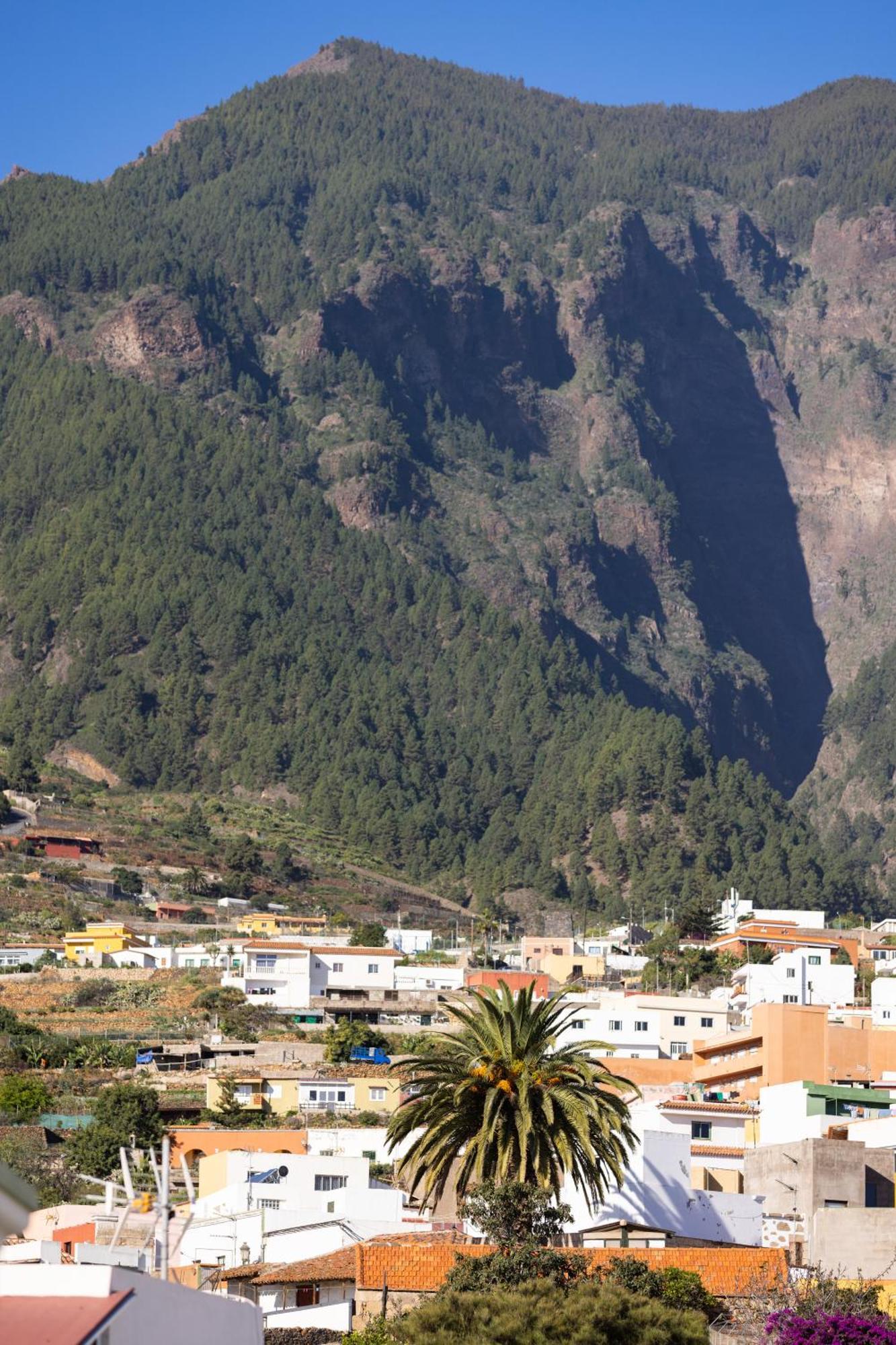 Acogedor Atico Con Vistas Al Atlantico Apartamento Arafo Exterior foto